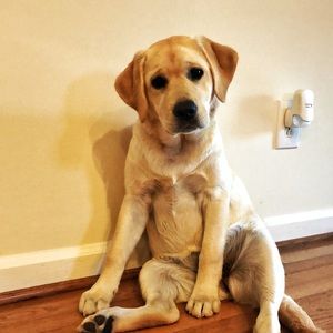 Meet your Posher, Nick